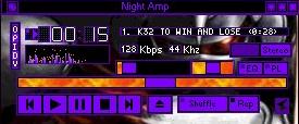 Nightamp_sk8.jpg (10351 octets)