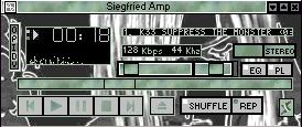 Siegamp_sk8.jpg (12984 octets)