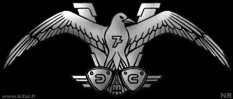 127thSQ-Valkyries.jpg (22570 octets)
